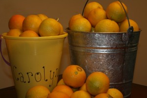 Lemons from tree